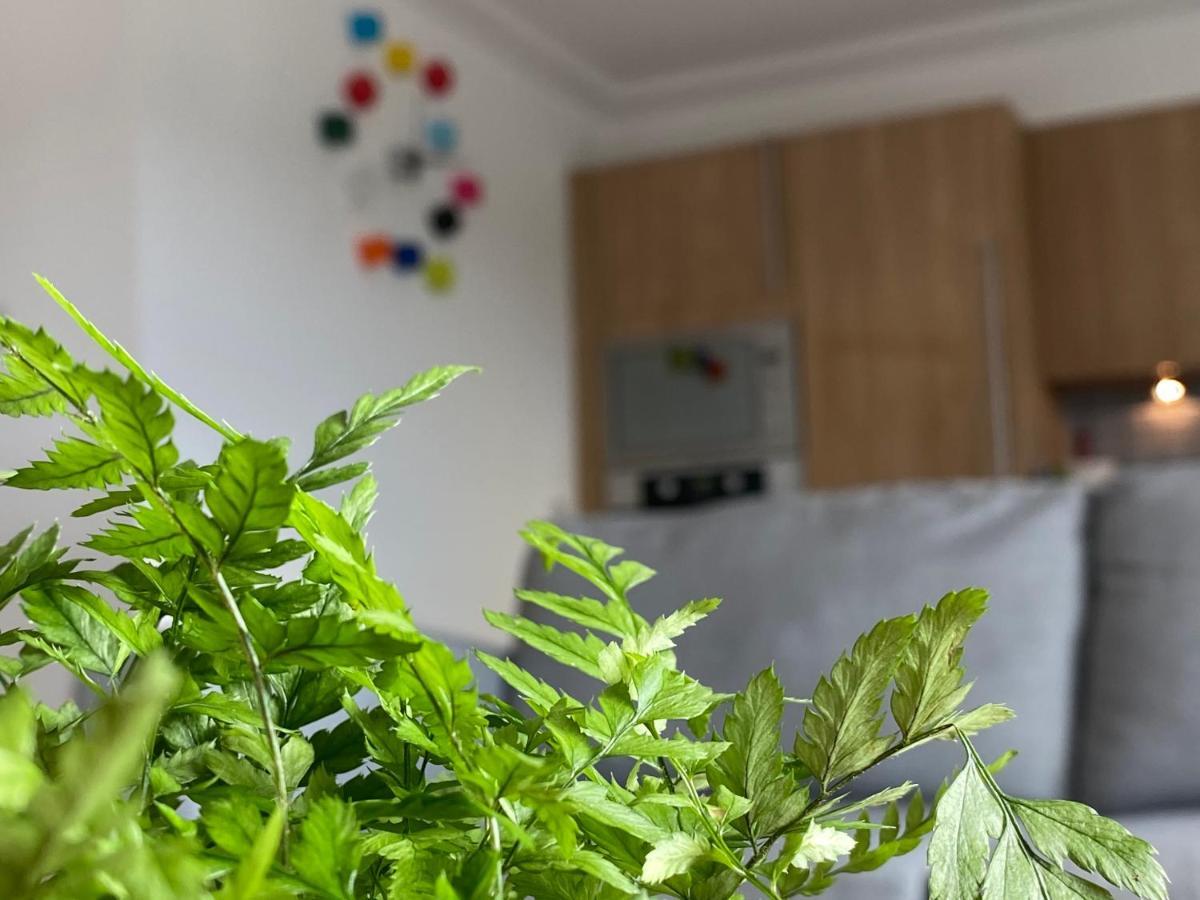 The Duplex Nairn- Spacious 3 Bedroom With Sunny Balcony Kültér fotó